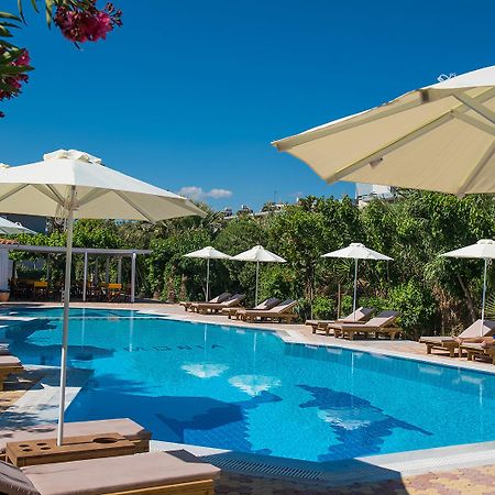 Enorme Armonia Beach (Adults Only) Gazi ภายนอก รูปภาพ
